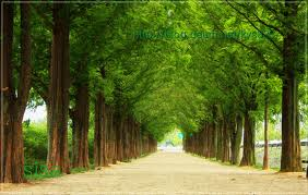 ���콺�� Ŭ���Ͻø� �����̹����� ���Ǽ� �ֽ��ϴ�.