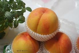 콺 ŬϽø ̹ Ǽ ֽϴ.