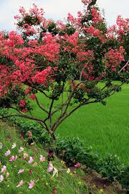���콺�� Ŭ���Ͻø� �����̹����� ���Ǽ� �ֽ��ϴ�.
