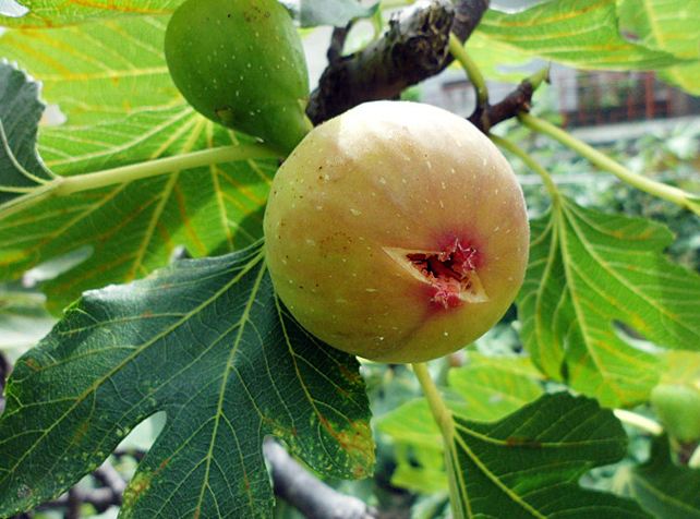 ���콺�� Ŭ���Ͻø� �����̹����� ���Ǽ� �ֽ��ϴ�.
