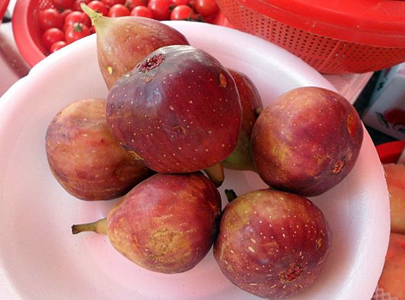 ���콺�� Ŭ���Ͻø� �����̹����� ���Ǽ� �ֽ��ϴ�.